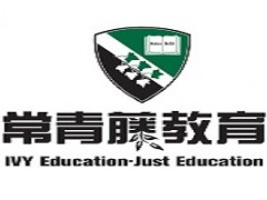 南京青藤数学课程特色