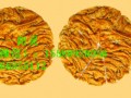 哪里可以学酱香饼技术，酱香饼培训