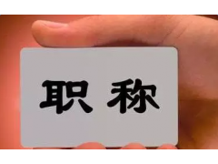 2017年正规职称代评代审 人社厅局发