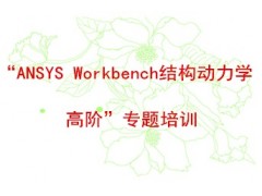 “ANSYS Workbench结构动力学高阶”