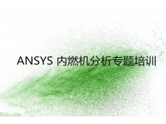 ANSYS 内燃机分析专题培训