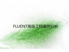 FLUENT高级工程案例分析