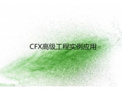 CFX高级工程实例应用