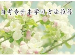 自考专升本的学习小技巧