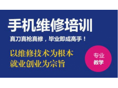 专业智能手机屏幕修复培训课程实操