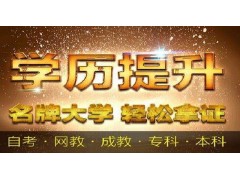 同济大学本科、21世纪别让低学历做