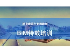 吴江BIM特效培训