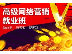 上海高级网络营销就业班