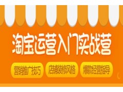 乐清阿里巴巴营销推广班