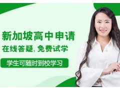 南京新加坡高中留学申请课程