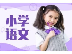 江阴小学语文辅导