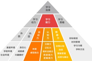 合肥金色雨林情感力课程全新升级