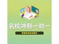 数学课辅导-艺考文化课