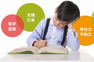 企业如何提高执行力和工作效率