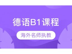 天津德语B1课程