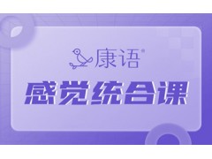 阜阳儿童感觉统合课