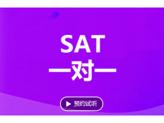 张家港sat一对一培训课