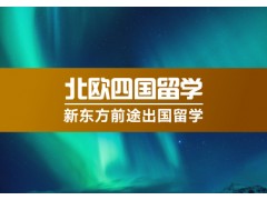 南京北欧留学规划