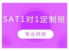 西安SAT名师1对1培训班