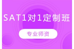 合肥SAT名师1对1培训班