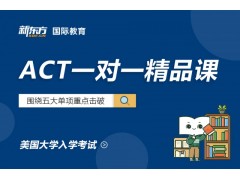 杭州新东方ACT1对1精品课