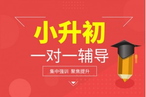 鹤壁小升初1对1培训班