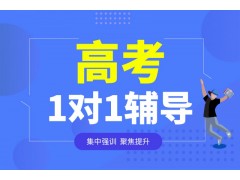 深圳高考1对1培训班