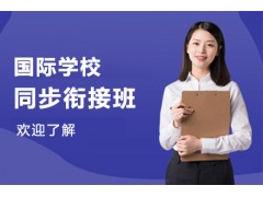 广州国际学校同步衔接班